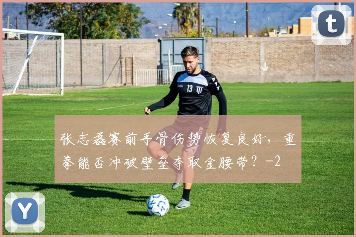 张志磊赛前手骨伤势恢复良好,重拳能否冲破壁垒夺取金腰带?
