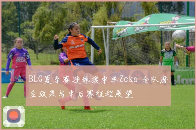 BLG夏季赛迎韩援中单Zeka 全队磨合效果与季后赛征程展望